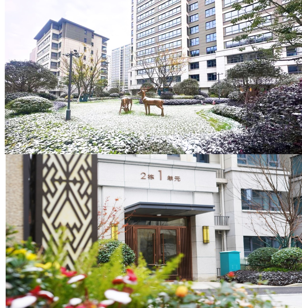 1703125390421 1703125390421